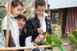 Visite avec les enfants en Bretagne Tropical parc proche hébergements en chalets